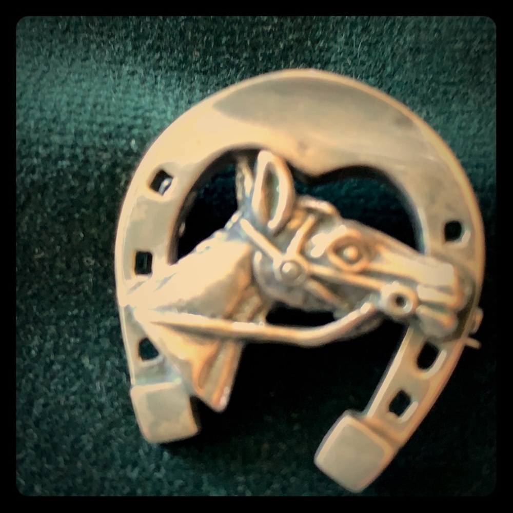 Horseshoe pin
